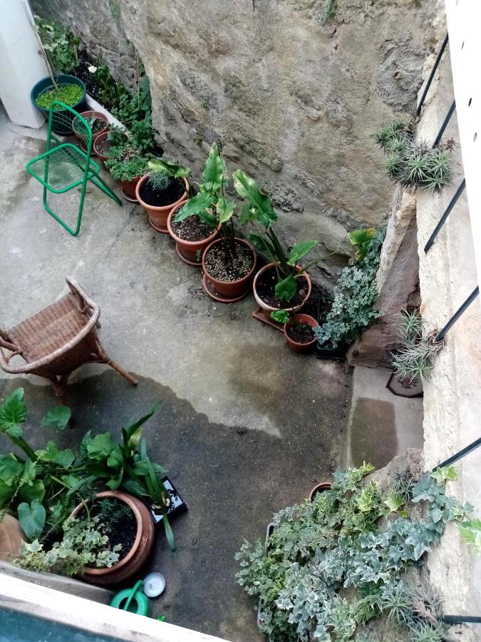 Hotel Casa Da Judiaria Velha Viseu Esterno foto