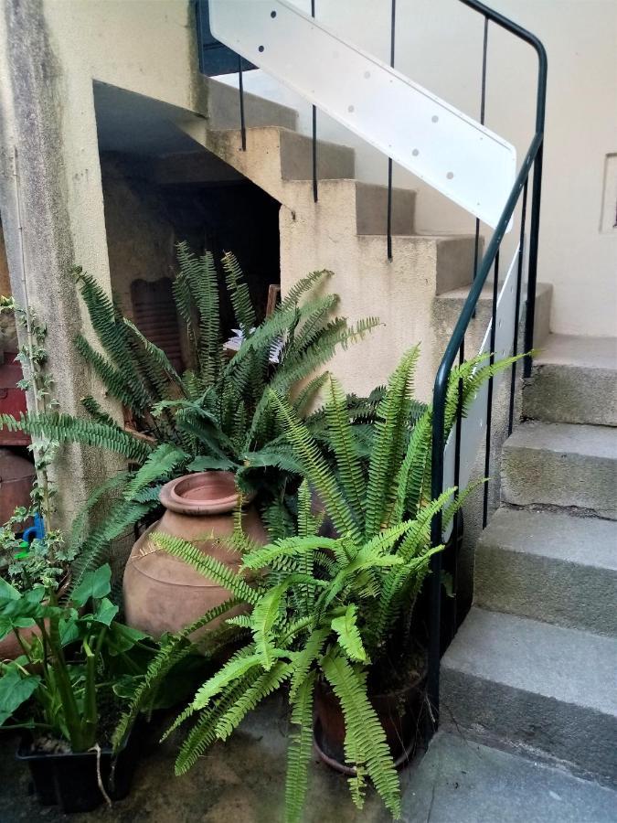 Hotel Casa Da Judiaria Velha Viseu Esterno foto